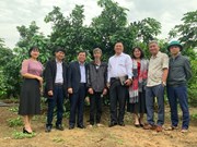 Nhóm chuyên gia OCOP Khoa Kinh tế và Phát triển nông thôn Trường  Đại học Nông Lâm Thái Nguyên thăm và làm việc tại huyện Thọ Xuân, Tỉnh Thanh Hóa