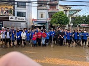 Sinh viên Khoa Kinh tế & Phát triển nông thôn – Chung tay cùng thầy cô khắc phục hậu quả sau cơn bão số 11 (Matmo) 