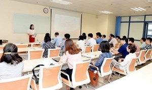 Giảng viên đồng cơ hữu trong cơ sở giáo dục đại học công lập phải có trình độ tiến sĩ